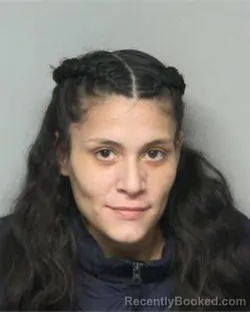 Mugshot of ESMILCE VIVIANA MEDINA GALEANO