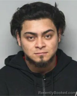 Mugshot of WILMER ALEXIS CRUZ
