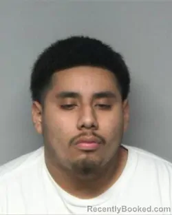 Mugshot of BRAULIO GUTIERREZ MONTES