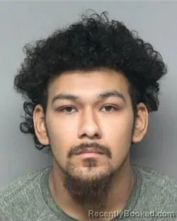 Mugshot of DANIEL MORENO LIEVANO