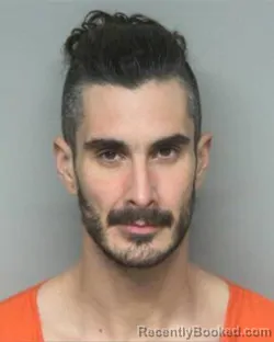 Mugshot of JONATHAN MICHAEL DOLINISH