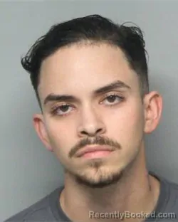 Mugshot of ENMANUEL PINEIRO PRADERA