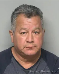 Mugshot of ANGEL REVIZ ESTRADOR