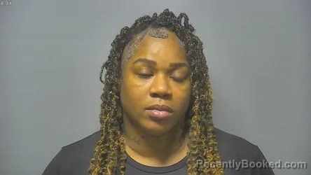 Mugshot of STEPHANIE JANINE THOMAS
