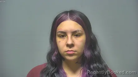 Booking photo from Saginaw County, Michigan