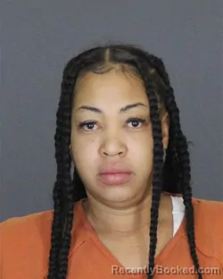 Booking photo from St Clair County, Michigan