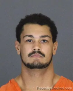 Booking photo from St Clair County, Michigan