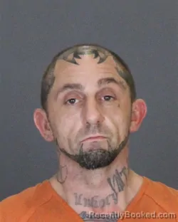 Booking photo from St Clair County, Michigan