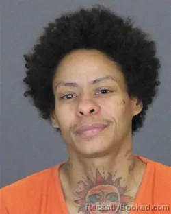 Booking photo from St Clair County, Michigan