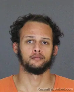 Booking photo from St Clair County, Michigan