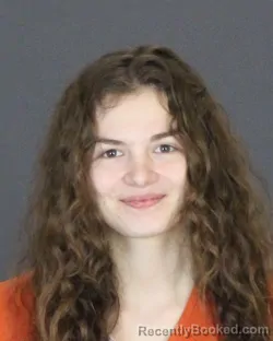 Booking photo from St Clair County, Michigan