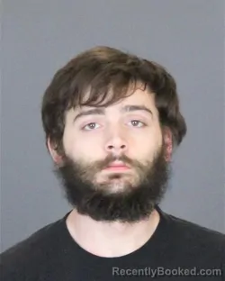 Mugshot of DAMIEN XAVIER-LEE MITCHELL