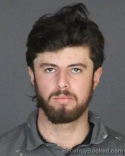 Booking photo from St Clair County, Michigan