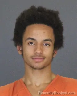 Booking photo from St Clair County, Michigan