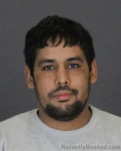 Booking photo from St Clair County, Michigan