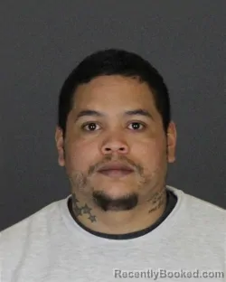 Mugshot of LUIS MEJIA