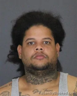 Mugshot of ANDRES RAFAEL OGANDO-ADAMES