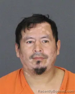 Mugshot of JOSE RAX
