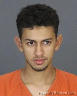Mugshot of SALEM TAHER