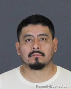 Booking photo from St Clair County, Michigan