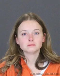 Booking photo from St Clair County, Michigan