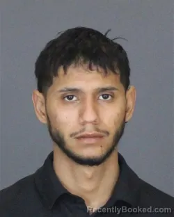 Mugshot of MIGUEL ANGEL MASH-DAVILA