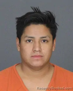 Booking photo from St Clair County, Michigan