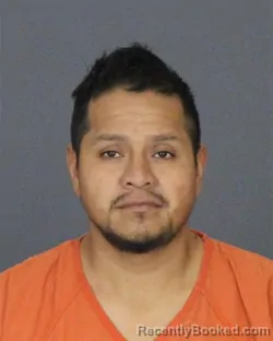 Mugshot of LUIS ENRIQUE TORRES-SANCHEZ