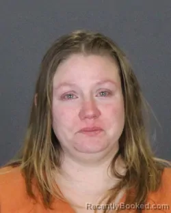 Booking photo from St Clair County, Michigan