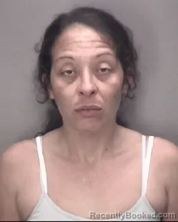 Mugshot of TARA AMBER BREWER