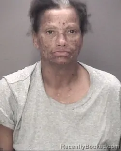 Mugshot of DARLENE FAYE HUNT