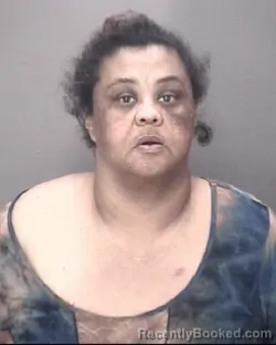 Mugshot of MELISSA ANN JONES