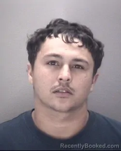 Mugshot of DUSTIN BELL