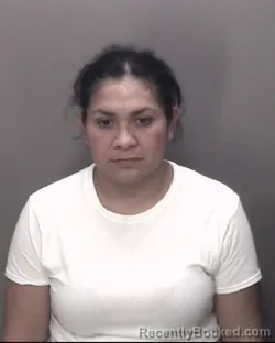 Mugshot of MARISELA CANO BELLO