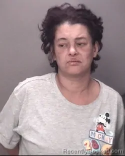 Mugshot of JOHANNA SAMPSON