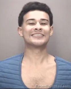 Mugshot of DAVID ESTRADA