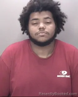 Mugshot of JAYLEN LARK