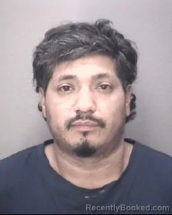 Mugshot of ABELINO HERRERA