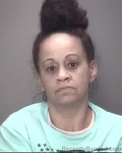 Mugshot of MEEGAN LENA HAMMONDS