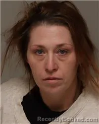 Mugshot of TERRA MARIE LINDGREN