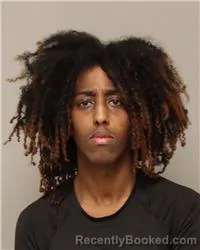 Mugshot of HASSAN ALI HASSAN