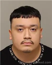 Mugshot of GUSTAVO ALFREDO SALDIVAR TREJO