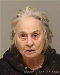 Mugshot of VICKI ANN CHURCHES