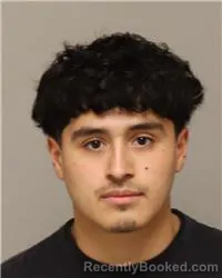 Mugshot of DIEGO TORRES VALDIVIA
