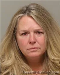 Mugshot of JILL MARIE CARLSON