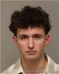 Mugshot of AIDAN TIMOTHY BRAZIL