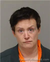Mugshot of MICHELLE LYNN HOGQUIST