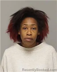 Mugshot of ASHLEY ESTHER PATTERSON