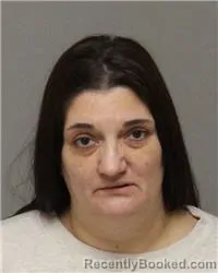 Mugshot of DANIELLE RENEA THIES