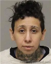 Mugshot of ALLISON SHANTAE FLORES-JOLES